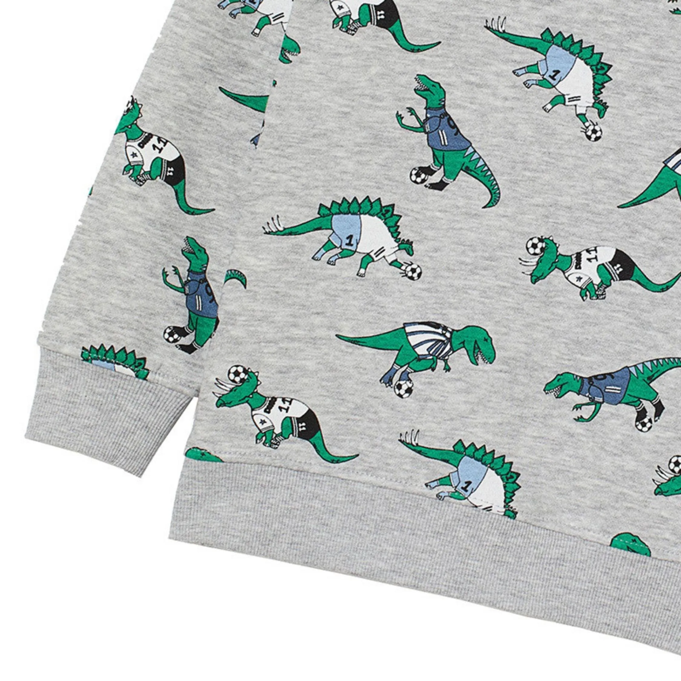 Green Dinosaur Patterned Sweat Shirt,Gray