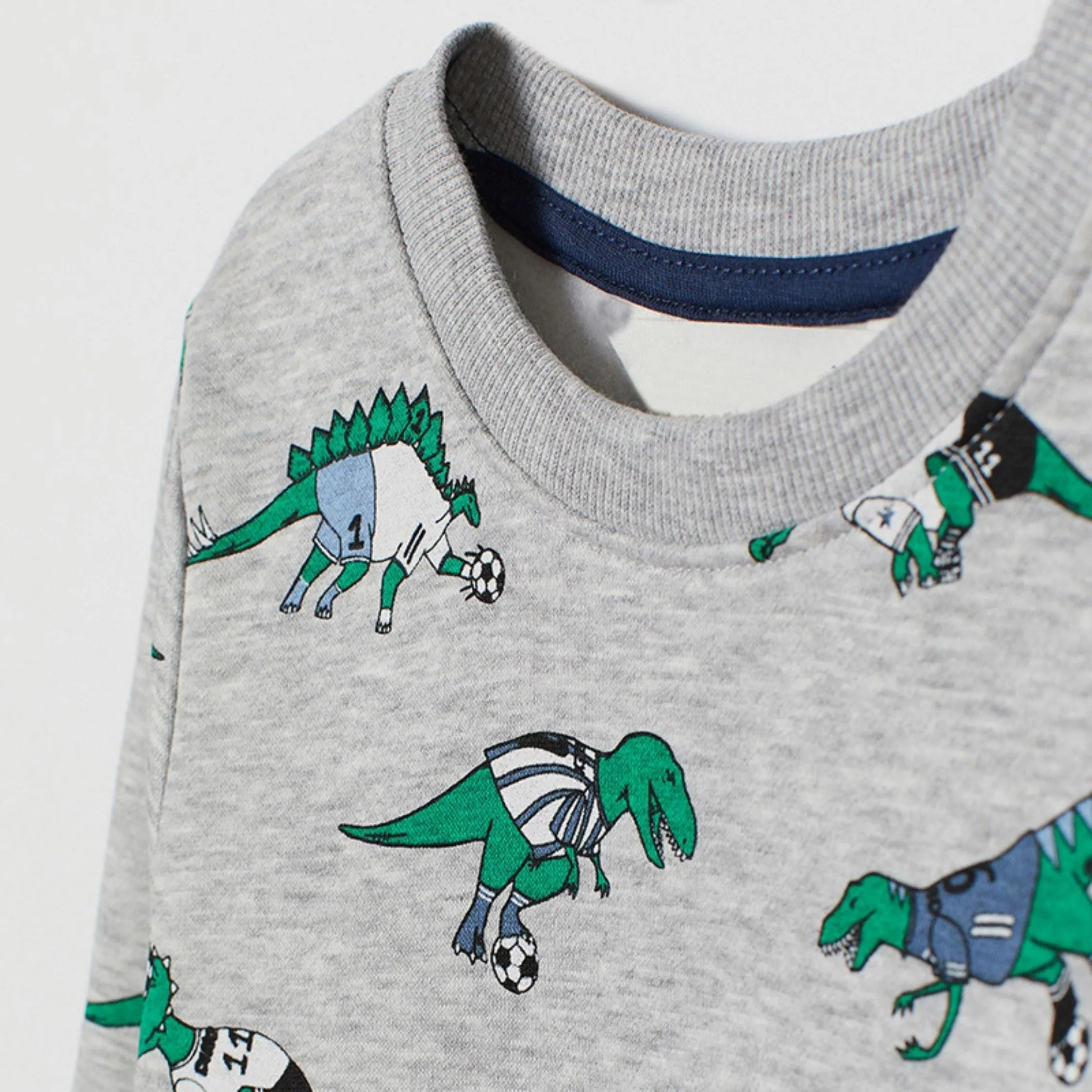 Green Dinosaur Patterned Sweat Shirt,Gray